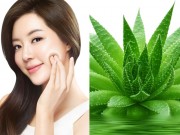 Làm đẹp - 8 cách trị da nhăn nheo đơn giản mà hiệu quả từ lô hội