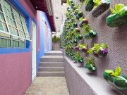 Nhà đẹp - Vườn rau từ trăm chai nước ngọt "hot" nhất mạng xã hội