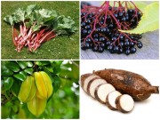 Bếp Eva - 13 món cực kỳ nguy hiểm nếu ăn sai cách