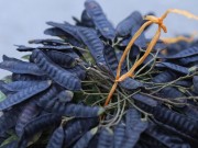 Nhà đẹp - Tự làm nước giặt từ các sản phẩm tự nhiên