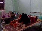 Tin tức - Gần 200 người ngộ độc sau khi ăn hải sản nghi nhiễm độc