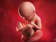 Bà bầu - Nhận biết sớm những dấu hiệu thai nhi đang "không ổn"