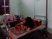 Tin tức - Khẩn trương tìm độc tố khiến gần 200 người ngộ độc