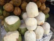 Tin tức - Dùng bột ăn mòn da tay để tẩy trắng dừa tươi ở Sài Gòn