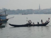 Tin tức - DN Việt thu gom cá chết chuyên xuất sang Trung Quốc (Bài 2)