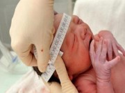 Tin tức - Bà bầu nhiễm virus Zika tại TP. HCM đã chấm dứt thai kỳ