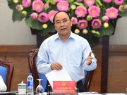 Tin tức - Thủ tướng: Xử nghiêm nếu phát hiện vi phạm hình sự vụ cá chết
