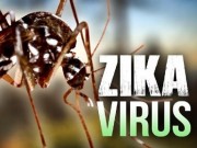 Tin tức - Mỹ phát hiện ca tử vong do virus Zika đầu tiên