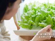 Nhà đẹp - Trồng rau không cần đất, không cần nắng kiểu Nhật
