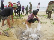 Tin tức - Vụ cá chết bất thường: Bốn bộ công bố kết quả kiểm tra