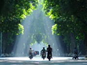 Tin tức - Hà Nội nắng nóng giảm dần, có mưa rào và dông