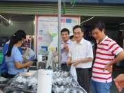 Tin tức - Gần 100 chuyên gia vào cuộc tìm nguyên nhân cá chết