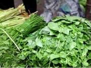Tin tức - Cách chọn rau không hóa chất, không dùng chổi quét