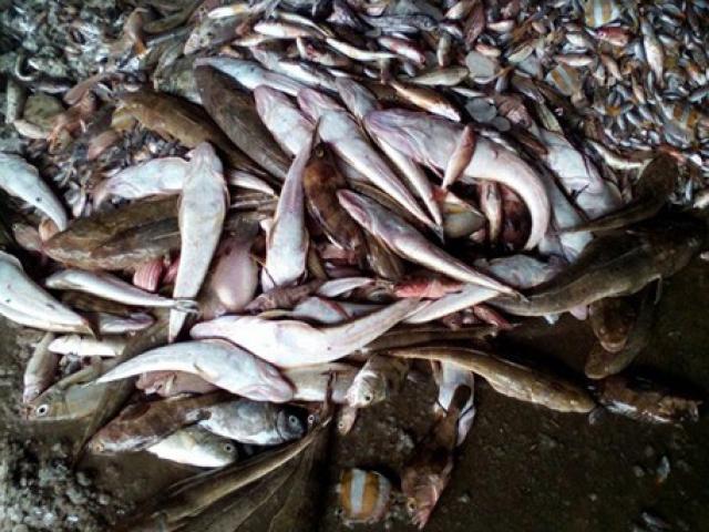 Cơn cuồng truyền thông và cơ hội bị bỏ lỡ