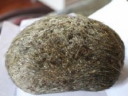 Tin tức - 'Thần dược' bạc tỷ trong dạ dày lợn là thức ăn thừa tích tụ