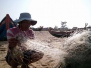 Ngày mới - Các thợ lặn bắt đầu lặn xuống biển làm rõ cá chết xếp lớp