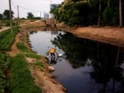 Ngày mới - Rau xanh trồng bằng nước đen ngòm, bốc mùi hôi thối