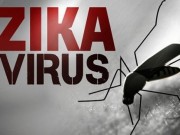 Tin tức - Một người Hàn Quốc nhiễm virus Zika sau khi trở về từ Việt Nam
