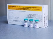 Tin tức - Hà Nội: Bé gái 3 tháng tuổi tử vong sau khi tiêm vắc xin Quinvaxem