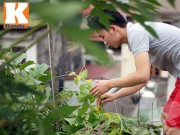 Nhà đẹp - Chàng trai nuôi lợn, gà và trồng rau sạch giữa Thủ đô