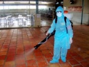 Tin tức - Tin mới nhất về người phụ nữ Hàn Quốc nhiễm virus Zika tại TP. HCM