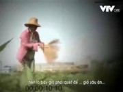 Tin tức - VTV nói gì về clip 'phóng viên xin lỗi người dân dùng chổi quét rau'