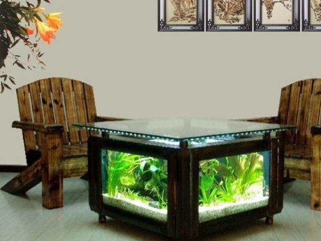 Những vật phẩm phong thủy đã mua phải biết dùng đúng cách