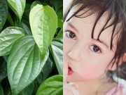 Làm mẹ - Dùng lá trầu vẽ giúp lông mày bé sơ sinh đậm đẹp?