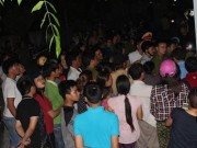 Tin tức - Sự thật tin đồn bắt xe tải thả cá chết xuống biển Nghệ An