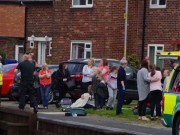 Tin tức - Anh: Chó dữ nổi điên cắn 14 trẻ nhỏ trong công viên