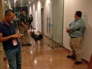 Tin tức - Biệt tài của 2 loại chó nghiệp vụ bảo vệ ông Obama ở VN