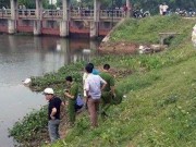 Tin tức - Chị 16 tuổi sát hại em trai cùng cha khác mẹ rồi phi tang