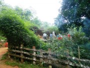 Tin tức - Vợ bị truy sát đến chết, chồng bị chém trọng thương trong đêm