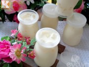 Bếp Eva - Sữa chua nha đam ngon mát đánh tan nắng hè