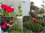 Nhà đẹp - Mẹ Hồ Ngọc Hà cặm cụi vác đất, bón phân trồng rau sạch