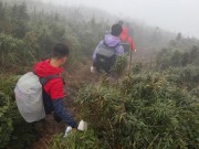 Tin tức - Nghẹn ngào phút thấy phượt thủ người Anh qua lời kể nhóm tìm kiếm