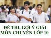 Tin tức - Gợi ý đáp án đề thi vào lớp 10 môn chuyên TP Hồ Chí Minh năm 2016