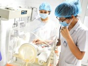 Tin trong nước - Thai phụ tử vong sau 5 tháng bị chó dại cắn