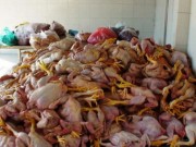 Mua sắm - Giá cả - Có thể kiểm tra độc tố trong thực phẩm bằng que thử nhanh