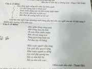 Tin tức - Bà Rịa-Vũng Tàu: Cá chết, biển ô nhiễm vào đề thi văn lớp 10