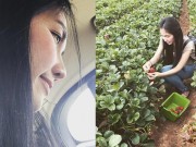 Làng sao - Gia đình Kim Hiền lái ô tô đi hái dâu ở Mỹ