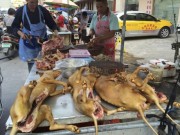 Bếp Eva - Xót thương 10.000 chú chó chờ chết tại Lễ hội thịt chó Trung Quốc