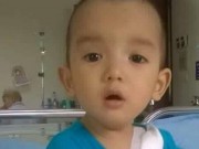 Tin tức - Vợ chồng trẻ đối mặt khó khăn khi con 2 tuổi bị ung thư máu