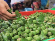 Bếp Eva - Cách chọn và bảo quản sấu để ăn dần cả năm