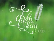 Xem & Đọc - “Cỏ quên sầu”: Một tình yêu ngoài tưởng tượng giữa đời thực
