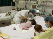 Tin tức - Hà Nội: 1 tuần xuất hiện 6 ca viêm não Nhật Bản