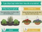 Nhà đẹp - Trồng giò treo đơn giản cho nhà chật tỏa mát