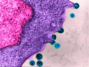 Tin tức - Vắc-xin HIV đang được thử nghiệm trên người