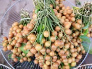 Bếp Eva - Hà Nội thơm ngon quất hồng bì