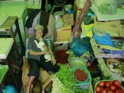 Tin tức - Cụ bà bán rau khắc khổ chỉ biết làm bạn với chó mèo